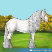 Horse Color:Gray Silver Amber Cream Champagne Roan Dun Splash Tobiano Frame Appaloosa Rabicano 