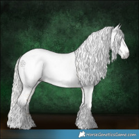 Horse Color:Gray Silver Amber Cream Champagne Roan Dun Splash Tobiano Frame Appaloosa Rabicano 