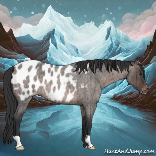 Horse Color:Brown Roan Dun Mushroom Appaloosa Brindle 