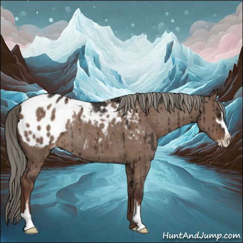 Horse Color:Liver Red Dun Mushroom Sabino Appaloosa Rabicano Brindle 