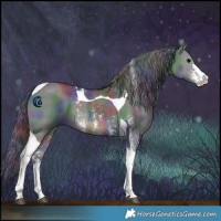 Horse Color:Nacre Black Sabino Tobiano