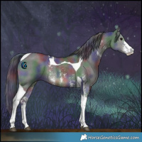 Horse Color:Nacre Black Sabino Tobiano