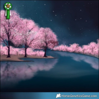 Horse Color:Silver Grullo 