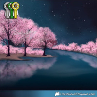 Horse Color:Silver Grullo 