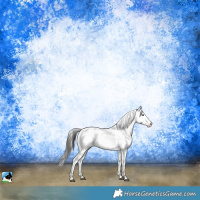 Horse Color:Brown Onyx Sabino Blanket Rabicano 