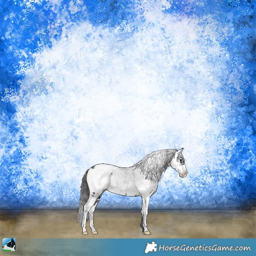 Horse Color:Brown Sabino Blanket Rabicano 