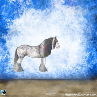 Horse Color:Nacre Brown Ice Onyx Sabino Rabicano 