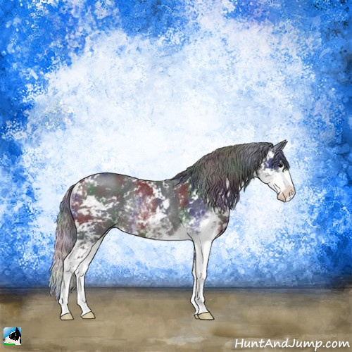 Horse Color:Nacre Brown Sabino Rabicano 