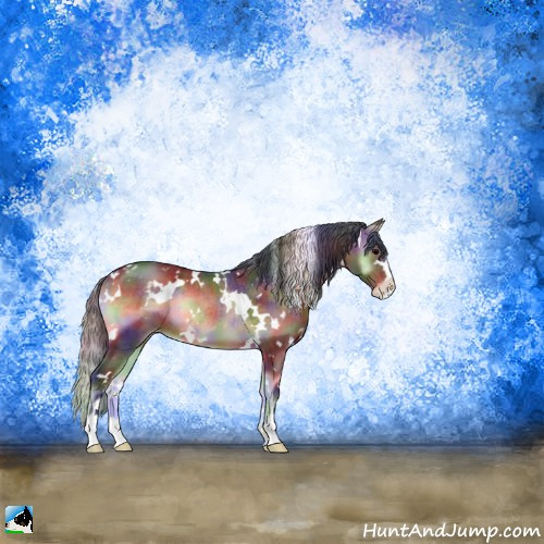 Horse Color:Nacre White Spotted Brown Onyx Sabino Appaloosa Rabicano 