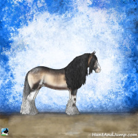 Horse Color:Brown Onyx Sabino Rabicano 