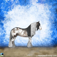 Horse Color:White Spotted Blue Onyx Sabino Rabicano 