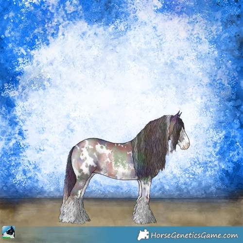 Horse Color:Nacre White Spotted Blue Onyx Sabino Rabicano 