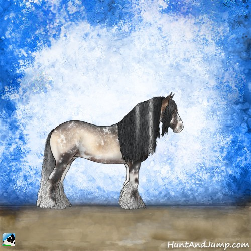 Horse Color:White Spotted Brown Onyx Sabino Rabicano 