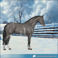 Horse Color:Grullo Sabino 