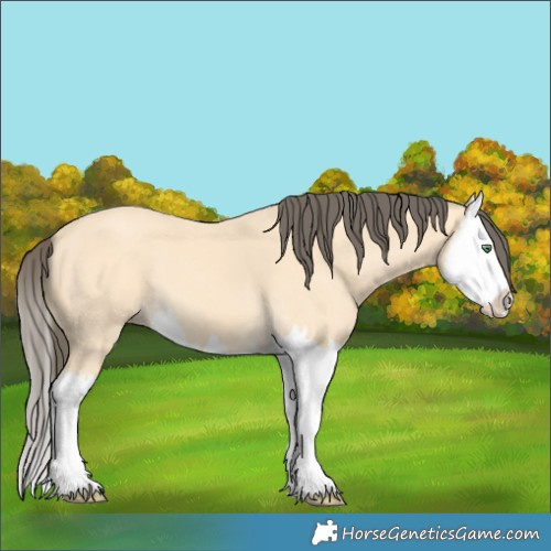 Horse Color:Amber Cream Champagne Splash 