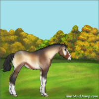 Horse Color:Brown Roan Onyx Varnish 