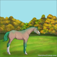 Horse Color:Watercolor Brown Dun