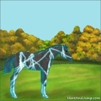 Horse Color:Thunderstruck Smoky Black 