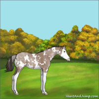 Horse Color:White Spotted Classic Champagne Splash 