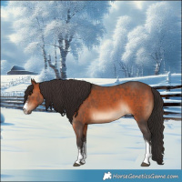 Horse Color:Brown Sabino Tobiano 