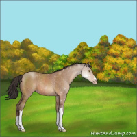 Horse Color:ERROR: UNKNOWN ANOMALY