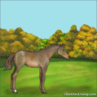 Horse Color:Chocolate Palomino Mushroom 