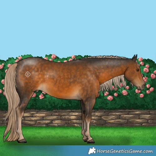 Horse Color:Chocolate Palomino Rabicano 