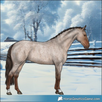 Horse Color:Liver Red Dun Roan 