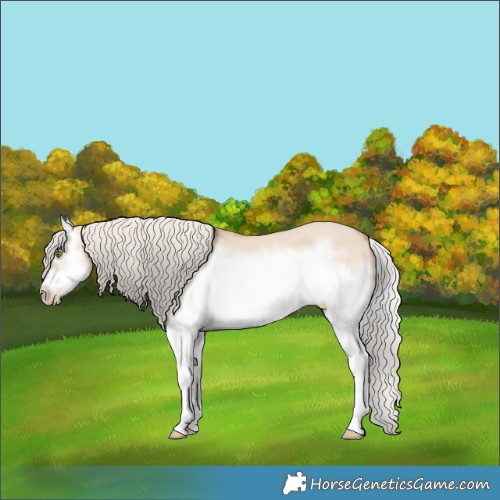 Horse Color:Silver Classic Champagne Dun Splash Frame