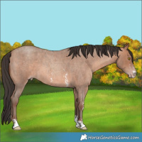 Horse Color:Sable Champagne Roan Sabino
