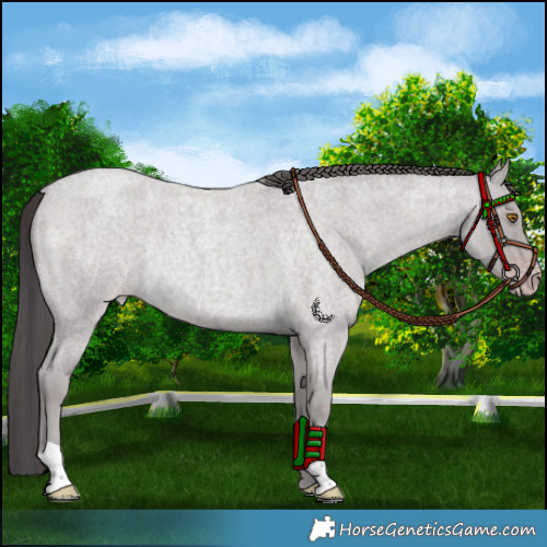 Horse Color:Platinum Classic Cream Champagne Roan Rabicano 