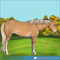 Horse Color:Palomino Mushroom