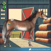 Horse Color:Bay Tobiano 