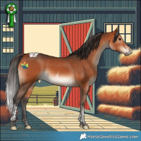 Horse Color:Bay Tobiano