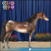 Horse Color:Bay Tobiano 