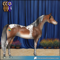 Horse Color:Bay Tobiano 