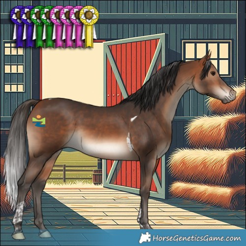 Horse Color:Bay Tobiano 