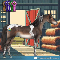 Horse Color:Bay Tobiano 