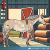 Horse Color:White Spotted Silver Bay Dun 