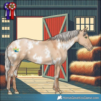 Horse Color:White Spotted Silver Grullo Pearl 