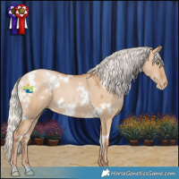 Horse Color:White Spotted Silver Grullo Pearl 