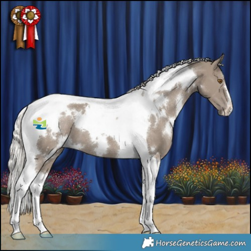 Horse Color:White Spotted Silver Grullo Tobiano 