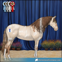 Horse Color:White Spotted Liver Red Dun Pearl Tobiano 