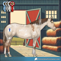 Horse Color:White Spotted Liver Red Dun Pearl Tobiano 