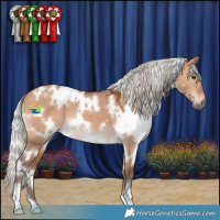 Horse Color:White Spotted Silver Bay Dun 