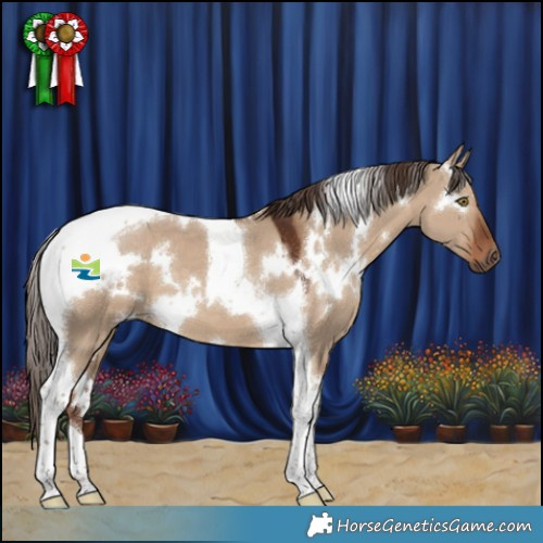 Horse Color:White Spotted Liver Red Dun Tobiano 