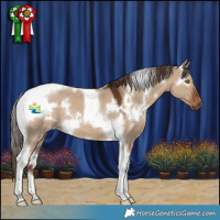 Horse Color:White Spotted Liver Red Dun Tobiano 