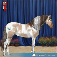 Horse Color:White Spotted Liver Red Dun Tobiano