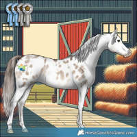 Horse Color:White Spotted Brown Dun Appaloosa Rabicano 