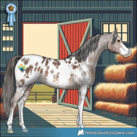 Horse Color:White Spotted Liver Chestnut Sabino Appaloosa 